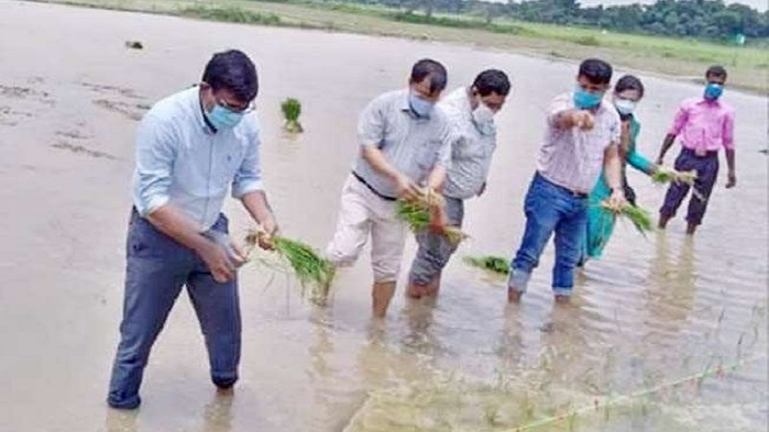 बिहार के ये डीएम बने किसान, संभाली धान रोपनी की कमान