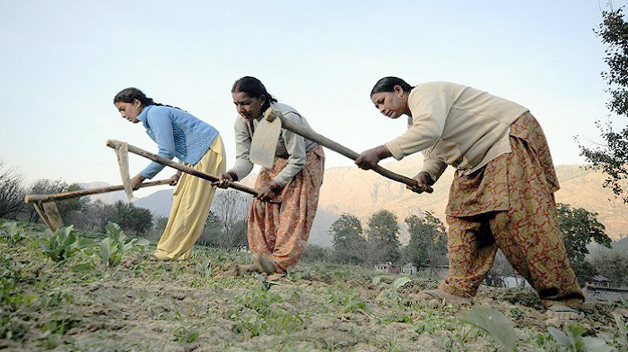 बिहार में सात हजार गांवों के किसानों को खेती के गुर सीखेंगे सरकार, दिलाएगी मुनाफा