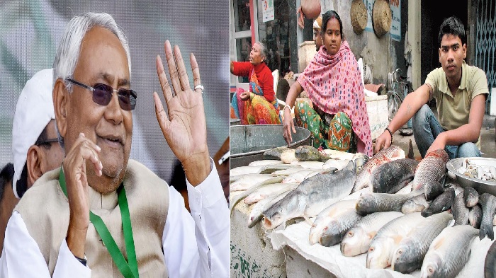 Nitish सरकार अब मछली पालन के लिए दे रही है अनुदान, जानें कैसे करें आवेदन