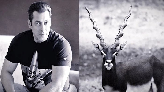 काला हिरण शिकार मामले में फिर कोर्ट में पेश नहीं हुए Salman, 18 बार मिल चुकी है हाजिरी माफी